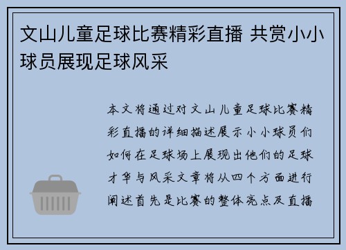 文山儿童足球比赛精彩直播 共赏小小球员展现足球风采